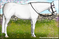 Horse Color:Gray Bay Roan Splash 