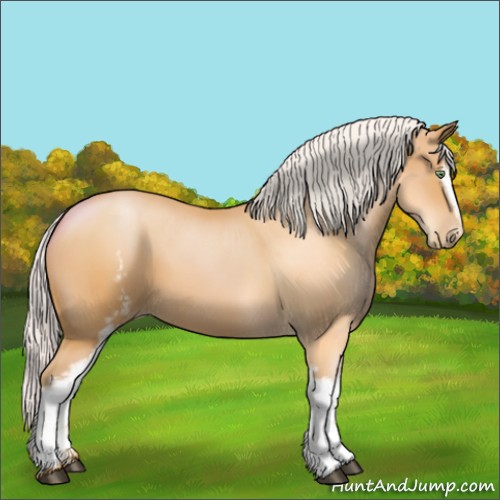Horse Color:White Spotted Silver Bay Pearl