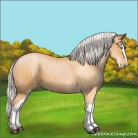 Horse Color:White Spotted Silver Bay Pearl