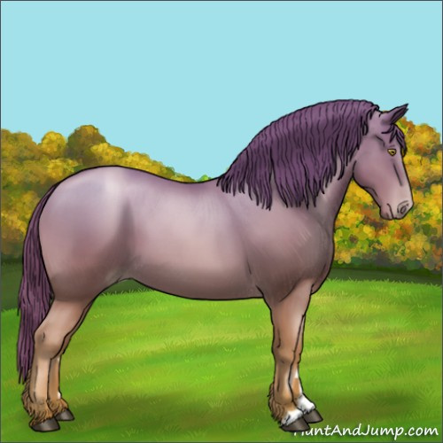 Horse Color:Chestnut Pearl 