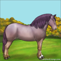 Horse Color:Chestnut Pearl