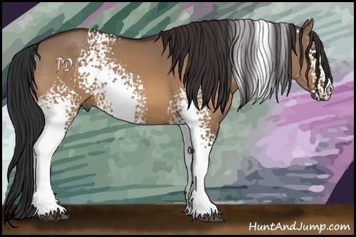 Horse Color:White Spotted Bay Dun 