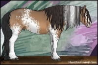 Horse Color:White Spotted Bay Dun