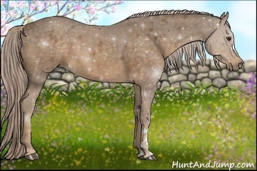 Horse Color:Chocolate Palomino