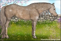 Horse Color:Chocolate Palomino 