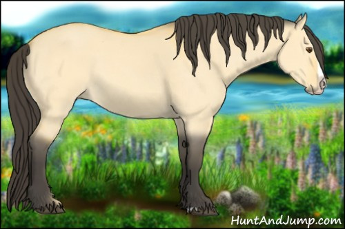 Horse Color:Buckskin Dun Splash