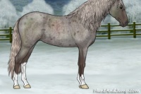 Horse Color:Silver Blue Roan 