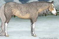 Horse Color:Silver Smoky Blue Roan Splash 