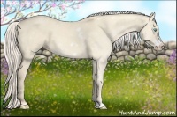 Horse Color:White Spotted Cremello Dun Frame