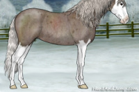 Horse Color:Silver Blue Roan Splash 