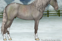 Horse Color:Silver Blue Roan Appaloosa 