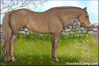 Horse Color:Chocolate Palomino 
