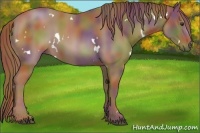 Horse Color:Nacre White Spotted Chestnut Sabino