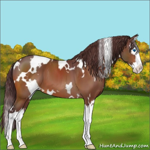 Horse Color:White Spotted Chocolate Bay Splash 