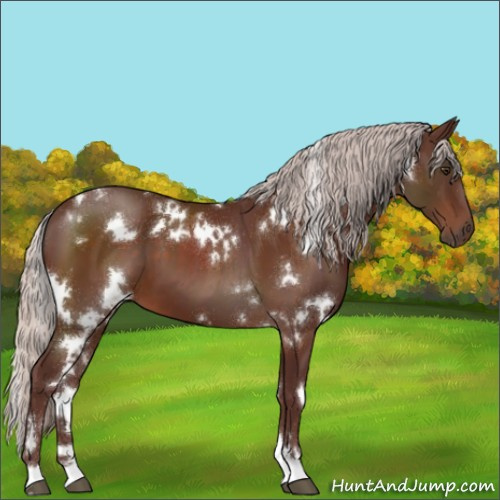 Horse Color:White Spotted Chocolate Silver Brown