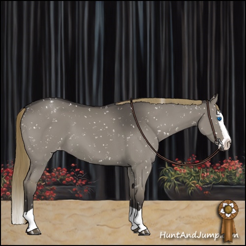 Horse Color:Smoky Grullo Splash Appaloosa 
