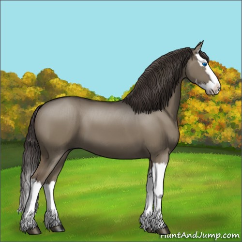 Horse Color:Smoky Grullo Splash