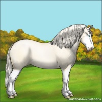 Horse Color:Palomino Pearl Dun Splash 