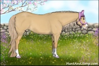 Horse Color:Palomino Dun Splash