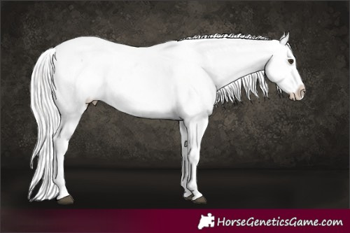 Horse Color:Platinum Chocolate Palomino Dun Splash Snowflake Varnish