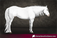 Horse Color:Platinum Chocolate Palomino Dun Splash Snowflake Varnish