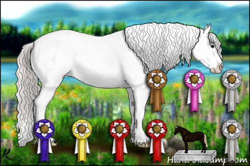 Horse Color:Silver Blue Roan Appaloosa 