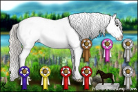 Horse Color:Silver Blue Roan Appaloosa 