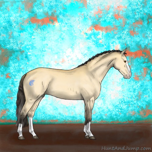 Horse Color:Buckskin Dun Splash 