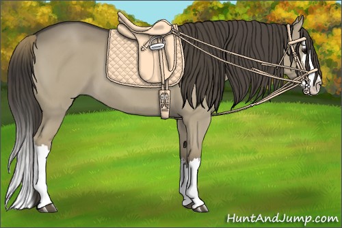 Horse Color:Smoky Grullo Splash 