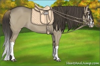 Horse Color:Smoky Grullo Splash 