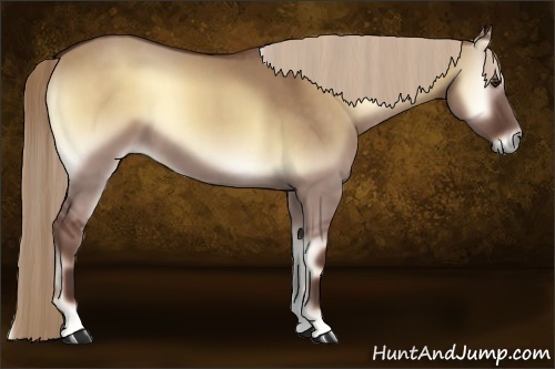 Horse Color:Red Dun Onyx 