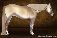 Horse Color:Red Dun Onyx 