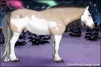 Horse Color:Bay Roan Dun Splash Frame
