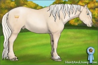 Horse Color:Gold Cream Champagne Pearl Rabicano 