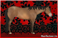 Horse Color:Gray Amber Champagne 