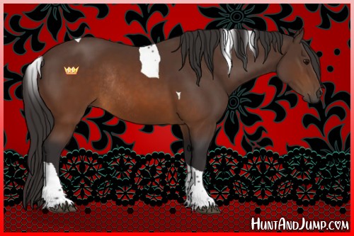 Horse Color:Buckskin Tobiano Rabicano