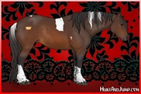 Horse Color:Buckskin Tobiano Rabicano 