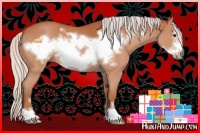 Horse Color:Silver Bay Roan Sabino Frame