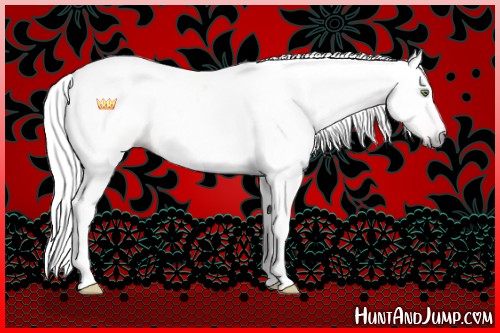 Horse Color:Gray Gold Champagne Dun 