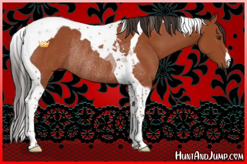 Horse Color:Bay Tobiano Rabicano