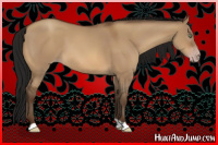 Horse Color:Gray Sable Champagne Dun 