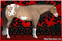 Horse Color:Gray Amber Champagne Roan Splash Frame Appaloosa 
