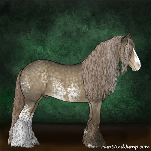 Horse Color:White Spotted Chocolate Palomino Dun Splash 