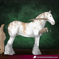 Horse Color:White Spotted Chocolate Palomino Dun Splash 
