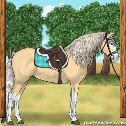 Horse Color:Palomino Dun Splash 