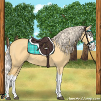 Horse Color:Palomino Dun Splash