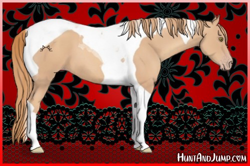 Horse Color:Gold Champagne Tobiano 