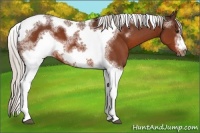 Horse Color:White Spotted Silver Brown Tobiano Frame 