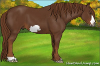 Horse Color:Gray Chestnut Frame 