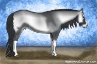 Horse Color:Blue Onyx Chinchilla
